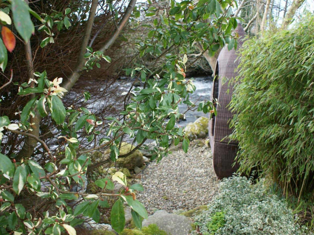 Talybont Bed And Breakfast Barmouth Bagian luar foto